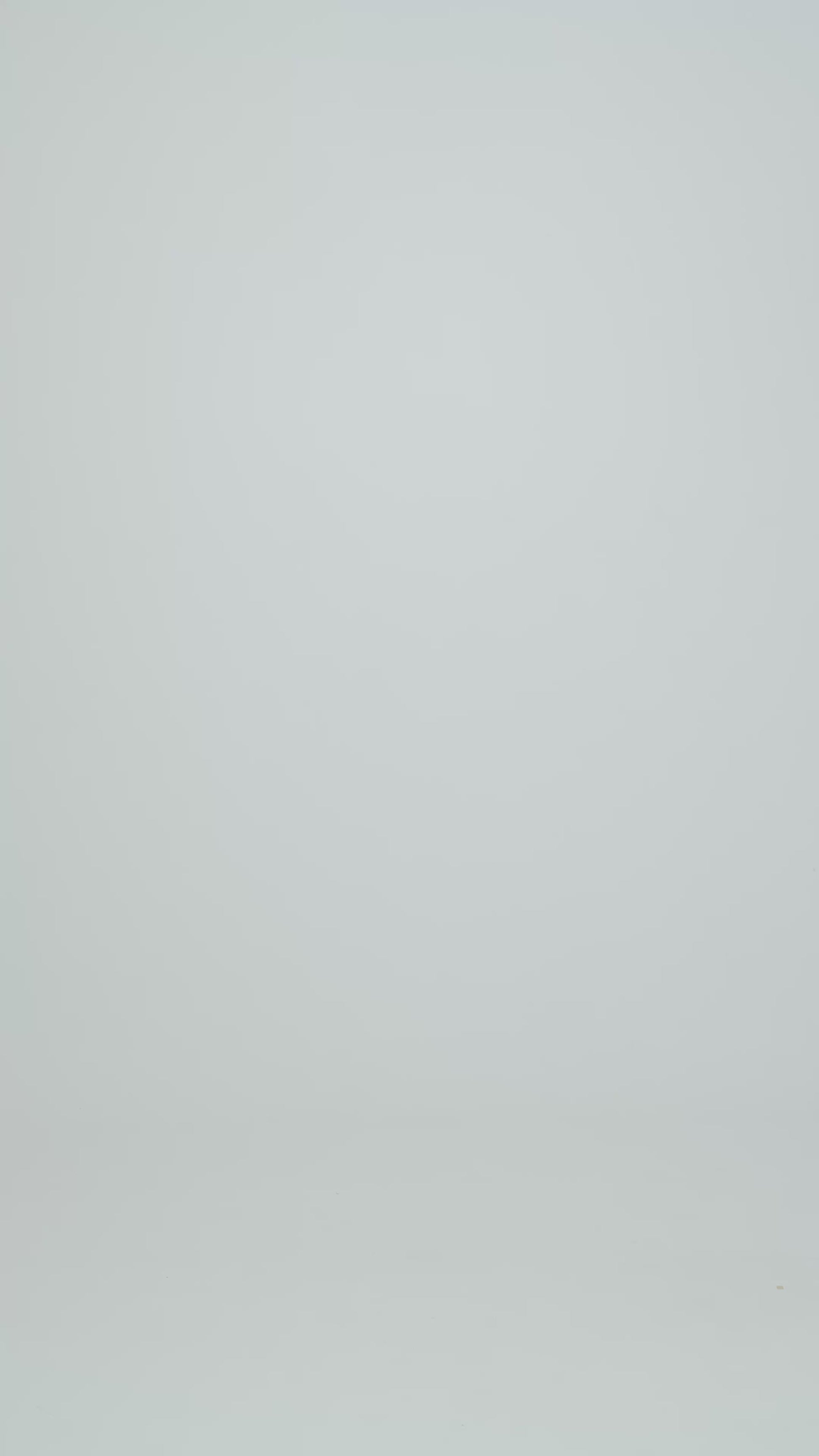 Midnight Blue - Camel