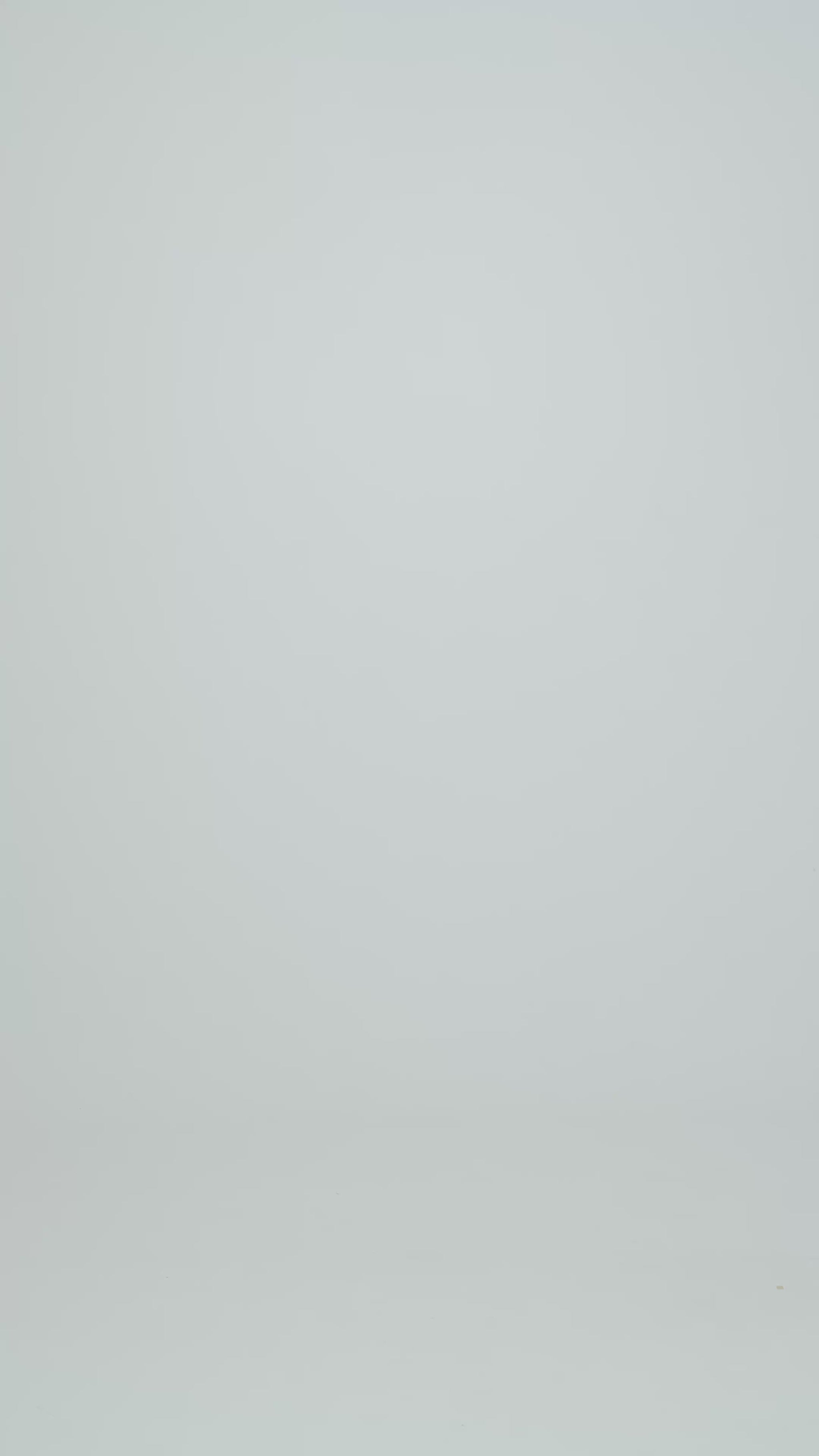 Midnight Blue - Camel